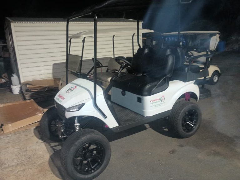 Flamingo Custom Carts golf cart with black wheels and custom graphics, Atlanta area golf cart options